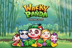 Wacky Panda Slot - Play Online - RTP: 95.94%